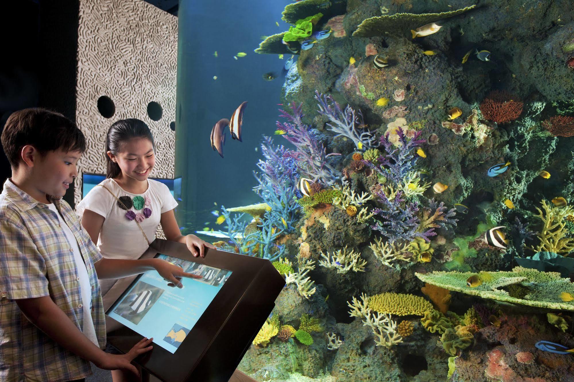 Tempat peranginan World Sentosa - Equarius 5*
